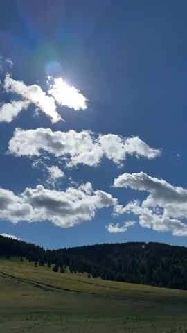 This is a vertical, outdoor, daylight video of a hillside with trees and a grassy field. The sun is visible in the upper right portion of the frame, shining brightly through some scattered white clouds. The sky is a clear, deep blue. The hillside is covered in green grass and dotted with trees. There are tire tracks visible on the grass. The sun is creating a lens flare effect in the video.