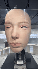 Realistic robotic head with moving eyes observed in Paradise