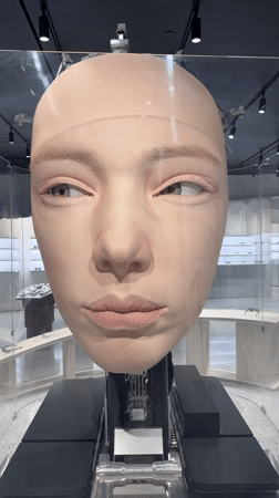 Realistic robotic head with moving eyes observed in Paradise