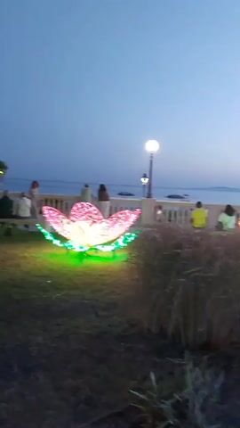 The video shows a waterfront promenade at dusk. In the foreground, there are ornamental plants and large illuminated floral sculptures, one resembling a lotus flower in pink and green, and another resembling a cactus in green and yellow. Further back, a paved walkway runs alongside a low wall bordering the sea. Several people are walking and standing on the promenade. Beyond the wall, the sea stretches to the horizon, with faint lights visible on the distant shore. The sky is a gradient of blue and orange, indicating sunset or twilight. Streetlights are also visible along the promenade. In the background, buildings and trees can be seen, and the overall atmosphere appears to be calm and leisurely.