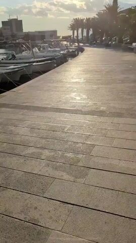 The video shows a sunlit stone walkway alongside a body of water. Several boats are docked on the left side of the walkway. Palm trees and other greenery line the right side of the walkway, with buildings and more trees visible in the background. The sun is shining brightly in the sky, casting long shadows. The overall scene appears to be a waterfront promenade or harbor in a sunny, possibly tropical or Mediterranean location. There are no people visible in the immediate foreground or clearly identifiable in the distance.