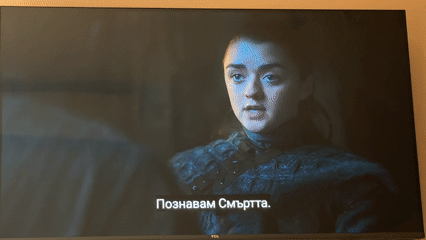Plovdiv resident watches Game of Thrones with red tulips