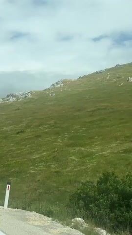 A roadside marker with red and white reflective tape stands in the foreground of a grassy hillside under a cloudy sky. The camera pans upwards, revealing more of the green slope dotted with sparse rocks and some patches of yellow wildflowers. A few scattered trees or bushes are visible on the lower part of the hill. The scene appears to be a natural landscape, possibly a mountain or high plateau, viewed from a road. The weather seems to be overcast with some breaks of brighter sky.