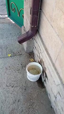 The video displays an outdoor scene, possibly in Arys, Kazakhstan. The primary focus is on a downspout from a building, directing water into a white bucket that has collected a significant amount of murky liquid. The downspout is a dark brown, rectangular pipe with a bent section. The building wall is constructed of light-colored stone blocks. Adjacent to the wall and downspout is a green metal gate with decorative scrollwork. The ground is paved with concrete.

In the upper portion of the video, an outdoor unit of an air conditioning system is visible, mounted on a metal bracket. A corrugated hose from the AC unit hangs down, leading away from the frame, presumably to drain condensation.

The lighting suggests it is daytime, likely a sunny day given the shadows. There is a fallen yellow leaf on the concrete near the downspout and bucket. The scene appears to be a residential or commercial exterior. The presence of the AC unit and the collected water in the bucket could indicate a period of warm weather, possibly summer. No people are visible. No text is present in the video. The overall impression is of a functional, outdoor utility area.