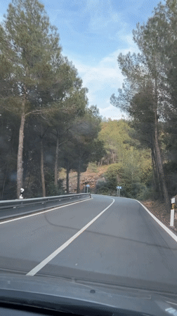 Vehicle travels winding tree-lined road in Serra, Spain