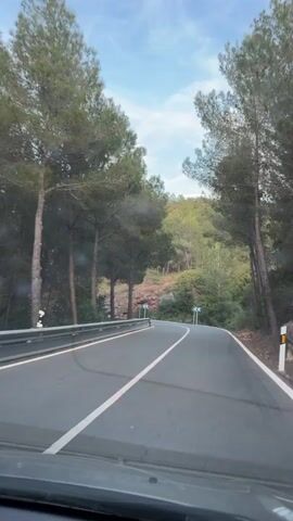 The view from inside a vehicle is seen as it drives down a winding, paved road. The road is lined with trees on both sides. A guardrail is on the left side of the road. Turn warning signs are on the right. The sky is partially cloudy. The road curves to the right.
