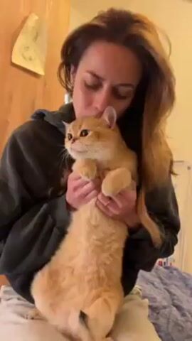 A woman with long brown hair is holding an orange cat in her arms. She is wearing a grey hoodie and light-colored pants. She kisses the cat on the head several times. The cat is sitting upright in her arms and looking to the left. The room appears to be a bedroom, with a wooden cabinet visible in the background, along with some artwork. The bed is covered with a blue quilt.