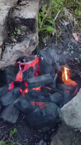 The video shows a close-up view of a small campfire. Chunks of black charcoal are piled together, with glowing red embers visible within the pile. Small flames flicker and dance among the coals, producing wisps of smoke. The fire appears to be contained within a makeshift fire pit formed by rough, grey stones and dirt. Green grass and foliage are visible in the background, suggesting an outdoor setting. The lighting is dim, with the fire providing the primary light source. The camera is positioned above and slightly to the side of the fire, looking down at the scene.