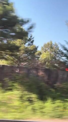 The video presents a bright, sunny daytime view of a rural or suburban landscape, captured from a moving vehicle in Shamoni, Russia. The scene is dominated by lush green vegetation, including various trees and dense bushes, which appear significantly blurred horizontally due to the speed of movement. In the immediate foreground, hints of yellow wildflowers can be seen among the grass.

Throughout the shot, sturdy fences run across the mid-ground, acting as a prominent barrier. Initially, a dark green fence is visible, behind which glimpses of structures, including a red roof, can be briefly seen. Later, a dark brown, possibly wooden or metal, fence replaces the green one, continuing the visual barrier. The sky above is clear and bright blue, indicating good weather. The strong motion blur on the trees and fences vividly conveys the swift passage through the environment, characteristic of viewing scenery from a moving car or train. No specific people or discernible text are visible. The overall impression is of a summer or late spring journey through a verdant area.