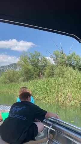 Two people are on a boat with a canopy. They are looking at trees and a body of water. There are reeds growing along the edge of the water and mountains in the background. Birds are visible in the trees.