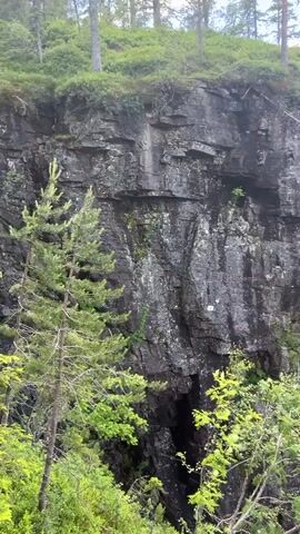 The video shows a steep, rocky cliff face partially obscured by green foliage. At the top of the cliff, pine trees are visible. The cliff is dark and appears to be composed of layered rock. In the lower portion of the cliff, there is a dark opening or crevice. The camera pans slowly to the right, revealing a waterfall cascading down the cliff face into the crevice below. The waterfall is a thin stream of water with some spray. The environment appears to be a forest, with more trees and greenery visible in the background and foreground. The sky is overcast. There are no people or animals visible in the video. The overall impression is a natural, somewhat rugged landscape with a prominent waterfall.