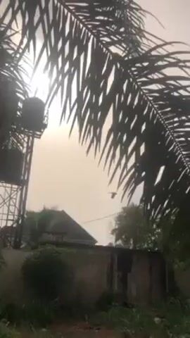 The video shows a cloudy outdoor scene with a water tower, vegetation, and a building. The camera is positioned at a low angle, looking up. The sky is overcast and bright, obscuring details. A tall, metal water tower with two tanks stands prominently in the frame, surrounded by greenery. Behind the tower, a building with a dark roof is visible. The camera moves slightly, panning across the scene. The focus shifts between the water tower and the surrounding trees and building.