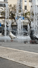 Afternoon street life documented across Bar Montenegro city center