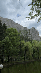 Zoo animals documented during morning visit in Vratsa, Bulgaria