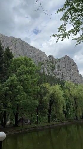 Zoo animals documented during morning visit in Vratsa, Bulgaria