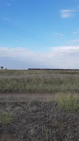 This is a short video clip with the timestamp 00:00 to 00:05. The video is oriented vertically, showing a landscape. The left side of the frame is dominated by a bright blue sky with scattered white clouds. The right side of the frame depicts a field of dry, yellowish-green grass and some sparse, low-lying vegetation. A dirt path or track runs through the grass, creating parallel lines. In the distance, a very long train is visible, appearing as a dark, horizontal line against the horizon. The train is made up of many carriages, some of which are dark red and others are dark blue. The overall impression is of a rural, open landscape. The time of day appears to be daytime, likely afternoon, given the brightness of the sky and the shadows. The weather seems clear and dry, with a gentle breeze that might be causing the grass to sway slightly. There are no people visible in the frame. The setting is consistent with the provided location context of Дөлен ауылдық округі, Kazakhstan, which is known for its steppe landscapes and railway lines. The video has no visible text.