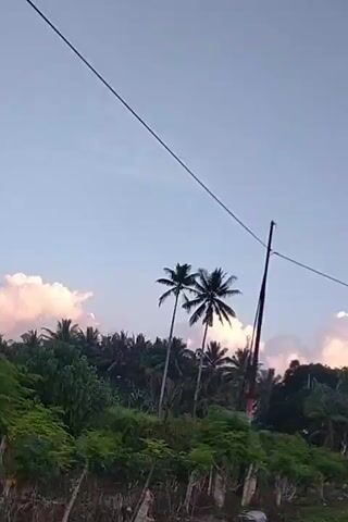 The video shows a camera moving through a tropical landscape. The first shot is of a utility pole with wires and some trees. The camera then moves to show two palm trees against a blue sky with some clouds. As the camera continues to move, it shows more trees, including what appear to be banana trees, and then a blur of green foliage. There are glimpses of a road and possibly some people on motorcycles in the background. The overall impression is of a drive through a rural, possibly Southeast Asian, environment.