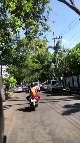 The video shows a street scene on a sunny day. A person is riding a motorcycle in the foreground, viewed from behind. The rider is wearing a red shirt and dark pants. The motorcycle appears to be white and black. Trees with lush green foliage line the street on both sides. Several cars are parked or driving on the road. The sky is clear and blue. There are utility poles with wires visible in the background. The road surface is asphalt. The overall impression is an urban or suburban environment with natural elements.
