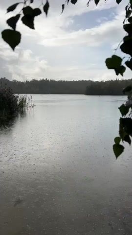 The video shows a lake on a cloudy day with rain falling. The foreground is framed by dark green leaves of trees hanging from the top of the frame. The lake is calm with ripples on the surface from the raindrops. In the distance, there is a treeline visible across the lake. The sky is mostly overcast with some breaks where the sun is trying to shine through. The overall mood of the video is peaceful and somewhat melancholic due to the rain and overcast sky. There are no people or animals visible in the video.