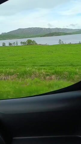 The video shows a landscape seen through a car window. In the foreground, the dark interior of the car is visible, including a portion of the door panel. Beyond the window, a vast expanse of vibrant green grass stretches across a rolling field. In the middle ground, a body of water, likely a lake or a bay, is visible, bordered by a strip of trees. In the background, rolling hills rise, their slopes covered in a mix of vegetation and patches of snow or lighter-colored ground. The sky above is overcast with a few lighter patches suggesting distant sunlight. The perspective suggests the car is in motion, moving along a road parallel to the field and water. There are no people visible in the video. The overall scene depicts a natural, scenic environment, possibly during a journey through a rural or mountainous region.