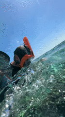 Snorkeler explores coral reef in Indonesian waters