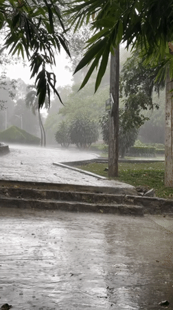 Rainy morning at a green park and river outside Ho Chi Minh City