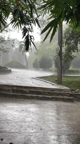 Rainy morning at a green park and river outside Ho Chi Minh City