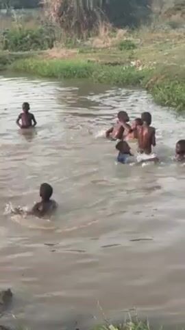 The video shows a group of children swimming and playing in a murky river. There are seven children visible in the water, some are wading, splashing and swimming. They are all dark-skinned. The surrounding environment includes greenery along the riverbanks and some buildings visible in the background. The water appears to be brown, and the general atmosphere is lively and playful.