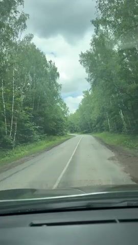 The video shows a point-of-view shot from inside a vehicle, looking out through the windshield. The vehicle is on a paved road that curves to the left. The road is bordered on both sides by a dense forest of tall, green trees, primarily birch trees with white bark visible. The sky above is cloudy with patches of blue sky showing through. A white line divides the road into two lanes. There is a red and white road sign on the left side of the road. The overall impression is of driving through a wooded area on a cloudy day.