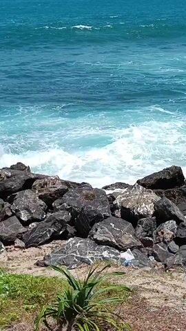 The video shows a view of the ocean from a rocky shore. In the foreground, there are large, dark rocks with some white and grey veins, covered in lichen. Some sand is visible between the rocks. A small green plant with long leaves grows in the lower left corner. In the mid-ground, waves are crashing against the rocks, creating white foam and spray. The ocean water is a deep blue, transitioning to a lighter turquoise where the waves are breaking. In the background, the sea stretches to the horizon under a clear blue sky. A small white object, possibly a ship, is visible on the far left horizon. The video appears to be shot from a slightly elevated position looking down towards the water.