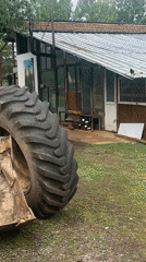 Animal encounters and leisure activities documented in Montana, Bulgaria