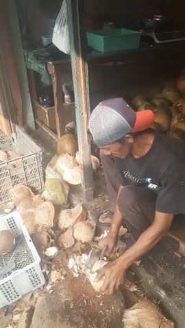 A man wearing a black t-shirt, brown pants, and a baseball cap with a red brim is squatting down and using a knife to peel a coconut. He is surrounded by many other coconuts, some with their husks removed. The scene appears to be outdoors, possibly a market stall, with wooden structures and some crates visible in the background. The ground is covered with coconut husks and debris.
