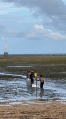 Morning beach activities and kite flying in Denpasar