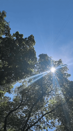 Sunny morning in a Perm park, canopy and pathways