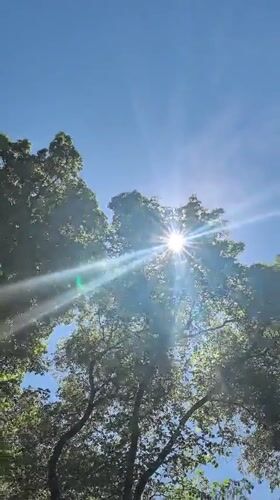 Sunny morning in a Perm park, canopy and pathways