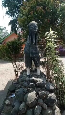 This is a horizontal video taken outdoors during the day. A statue of a goat stands prominently in the foreground, positioned on a mound of large, dark-colored rocks. The goat statue is mostly dark gray with some white on its legs. It has long, droopy ears and a long face. Behind the statue, there are several green trees and bushes. A building with a reddish-orange roof is visible in the background on the left side. To the right of the statue, a tall, thin plant with variegated leaves grows. The ground around the statue appears to be paved or dirt. Some litter is visible on the ground to the left of the rock mound. The sky is not clearly visible. The video appears to be a still frame or very slow panning shot.