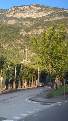 A video pans across a street lined with trees, with a large mountain in the background. A road is visible with a few cars driving on it. There are also streetlights, a bus stop sign, and a billboard with information in Italian. A red and white traffic sign is also visible. The video appears to be taken from a moving vehicle.