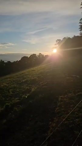 The video captures a scenic view of a grassy hillside at sunset. The sun is setting behind a line of trees on the right side of the frame, casting a warm glow and sunbeams across the scene. The sky is a mix of blue and white with wispy clouds. The foreground is a gently sloping grassy field, with shadows cast by the setting sun. In the distance, a hazy landscape can be seen beyond the trees. A thin wire fence runs along the bottom right corner of the frame.