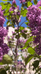 Spring morning scenes documented across Sterlitamak, Russia