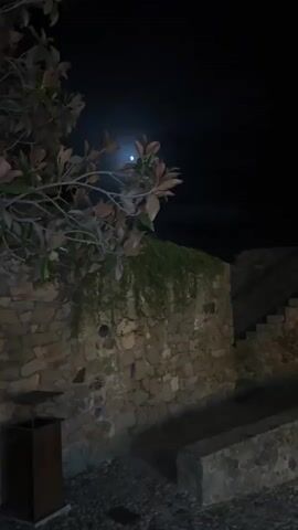 The video shows a stone wall at night. A tree with large leaves is on the left side of the frame, with a dark sky and moon visible behind it. Green vines hang down from the top of the stone wall. A stone staircase leads up the side of the wall. The ground is paved with cobblestones. A dark trash can is visible on the lower left. The overall scene is dimly lit by the moonlight.