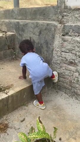 A young child wearing a light blue t-shirt and shorts with yellow and gray shoes with red accents is on a concrete staircase. The child is facing away from the camera and appears to be crawling up the stairs, with their hands on the step below and their right foot on the step they are trying to reach. The stairs are made of concrete and appear weathered, with some cracks and dirt on them. To the right of the stairs is a brick wall. In the background, there is dry grass and a pole with some colorful decorations. The lighting suggests it is daytime.