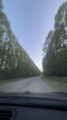 Driver documents forest road journey through rural Russia