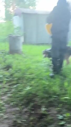 A person is using a yellow watering can to wash a brown and black dog with a leash on it in a grassy yard. The dog appears to be standing still while it is being watered. A metal structure can be seen in the background. The person is wearing dark clothing and dark rubber boots. The yard is green and grassy with some muddy patches.