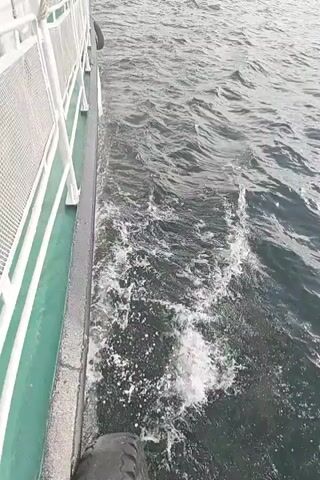 The video shows a side view of a ferry moving through water. The camera is positioned at the edge of the ferry, looking down and to the side. The green hull of the ferry is visible along the left edge of the frame, with white railings above it. White spray and foam are churning in the dark water immediately next to the hull, indicating the movement of the vessel. The water itself appears choppy and grey, suggesting an overcast day or rough conditions. A tire is visible in the bottom left corner of the frame, resting on the ferry's deck. The video is short, capturing only a few seconds of the ferry's journey, with no people clearly visible.