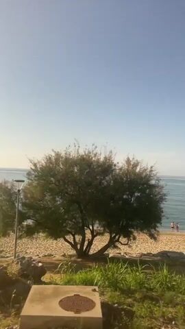 The video displays a sunny coastal landscape with a clear blue sky and calm ocean waters. A sandy beach stretches along the shore, where a few individuals are visible, some standing in the water and others on the sand. In the foreground, green grass and several trees are present, along with a dark metal fence that appears in the mid-section of the video. A single street lamp is positioned near one of the trees, and two white benches are partially visible on the right side of the frame at the beginning of the video. The camera slowly pans horizontally from right to left, revealing different sections of the beach and foreground elements.