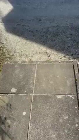 The video begins with a view of four concrete paving stones. The camera pans up to show a gravel path between short buildings, presumably at a resort. The buildings are uniform in design, with white or grey siding and black window frames. Sparse foliage and trees surround the path and buildings. The sky is bright blue with some wispy clouds, suggesting a sunny day.