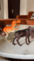 Toy dinosaurs and animals photographed on marble surface in Abuja