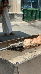 Alligator roasted on spit in urban area