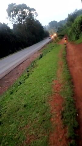 The video presents a highly tilted, aerial, or high-angle view of a narrow, dark asphalt road winding through a rural landscape at dusk or night. The camera is very shaky and experiences significant motion blur, suggesting it's either handheld on a moving vehicle or drone.

On both sides of the road, there are wide expanses of vibrant green grass interspersed with patches of reddish-brown earth. Dark silhouettes of trees and foliage are visible on the far left, bordering the road.

Bright lights from vehicles are visible traveling along the road in the distance. Initially, multiple bright yellow and red lights indicate approaching or receding traffic. As the video progresses, a motorcycle with a rider becomes more discernible on the road, moving in the direction of the camera's general perspective. The vehicle lights create strong points of illumination against the dim background.

The overall lighting is low, typical of evening or nighttime, with vehicle lights serving as the primary sources of brightness. The perspective is consistently skewed, with the road running diagonally across the frame, creating a dynamic and somewhat disorienting visual. Audio, including speech and background noise, is present throughout the clip.