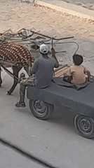 Khan Yunis streets and camps amid widespread destruction